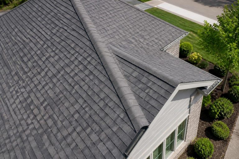 Roof Inspection